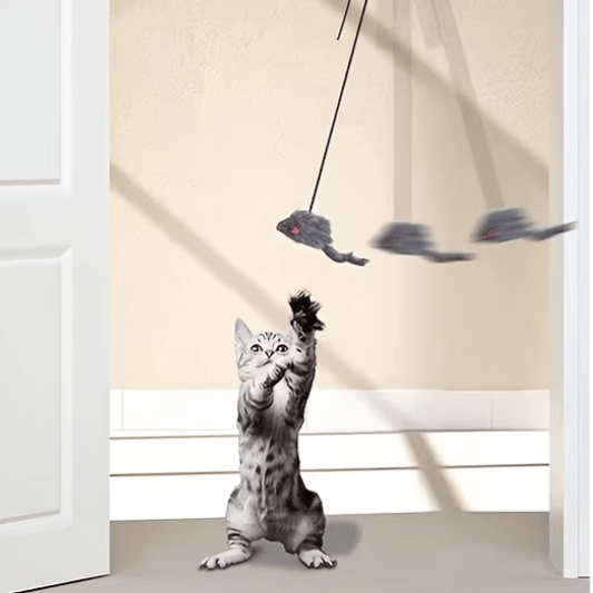 Jouet pour chat | Hunjumpâą - Ambiance chat