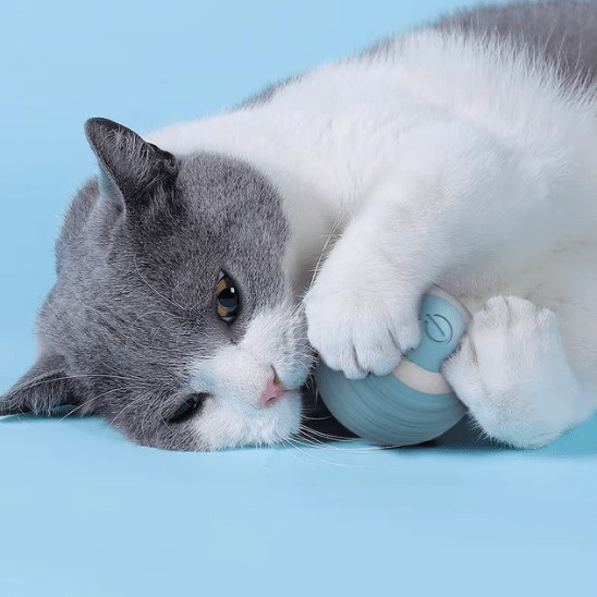 Jouet pour Chat | InterBal™ - Ambiance chat