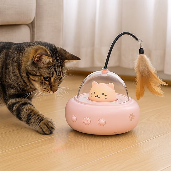 Jouet Pour Chat | Krafty™ - Ambiance chat