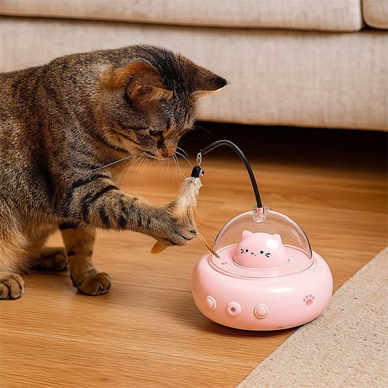 Jouet Pour Chat | Krafty™ - Ambiance chat