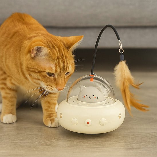 Jouet Pour Chat | Krafty™ - Ambiance chat