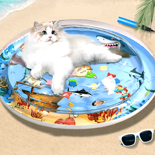 Jouet pour chat | Lydoâą - Ambiance chat