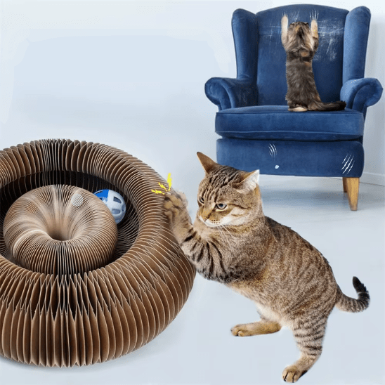 Jouet pour chat | Meshplay™ - Ambiance chat