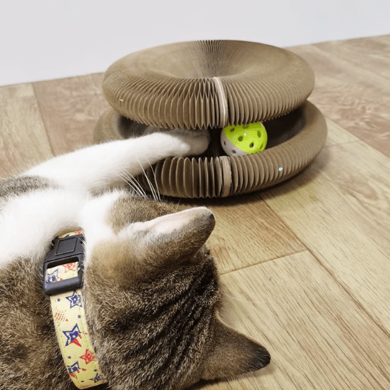 Jouet pour chat | Meshplay™ - Ambiance chat