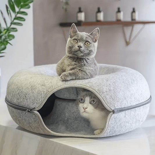Niche Pour Chat | Beigny™ - Ambiance chat