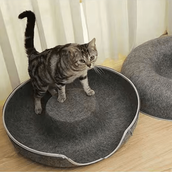 Niche Pour Chat | Beignyâą - Ambiance chat