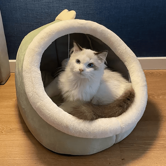 Niche pour chat | Hearsy™ - Ambiance chat