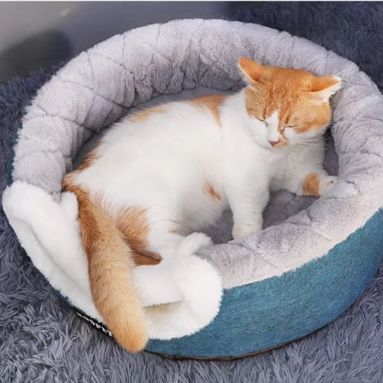 Niche Pour Chat | Poofy™ - Ambiance chat