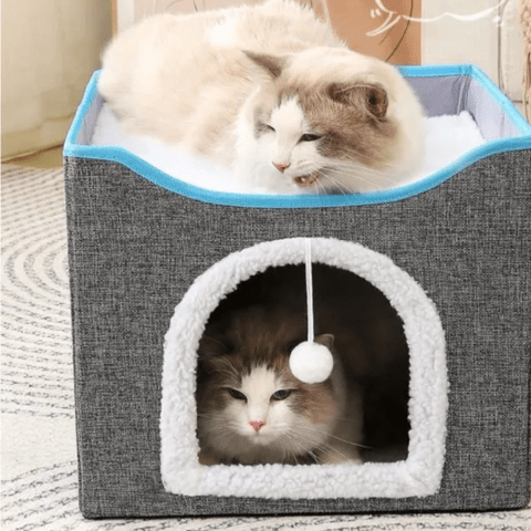 Niche pour chat | Scratchinghouse™ - Ambiance chat