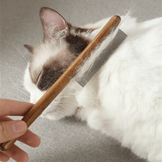 Peigne anti poux | Kombyâą - Ambiance chat