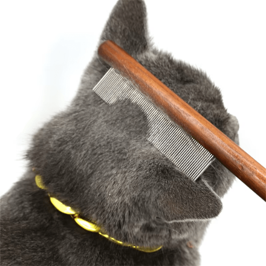 Peigne anti poux | Kombyâą - Ambiance chat