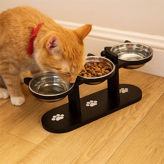 Gamelle-chat-varié