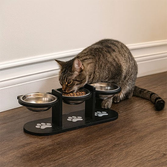 Gamelle-chat-haute