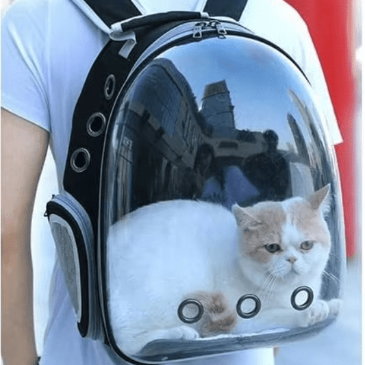 Sac de transport pour chat | Baggy™ - Ambiance chat