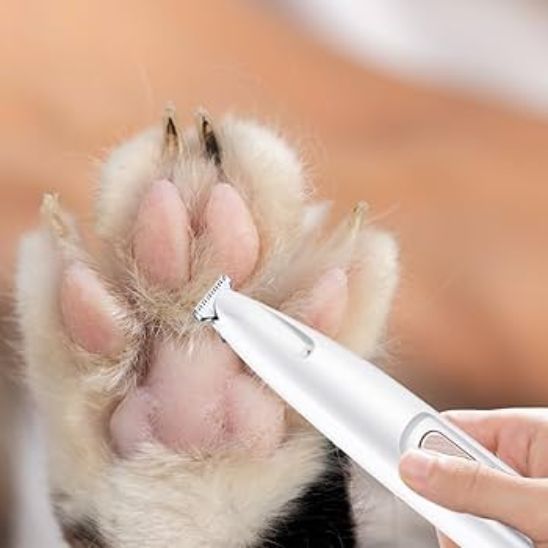 Tondeuse pour Chat | Mowy™ - Ambiance chat