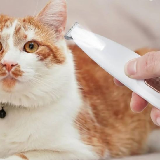 Tondeuse pour Chat | Mowy™ - Ambiance chat