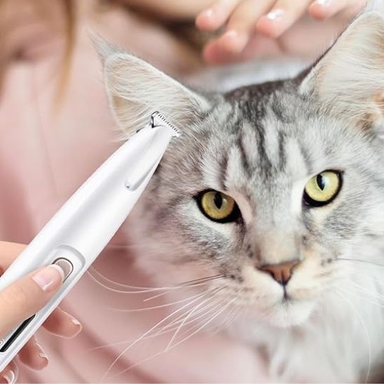 Tondeuse pour Chat | Mowy™ - Ambiance chat