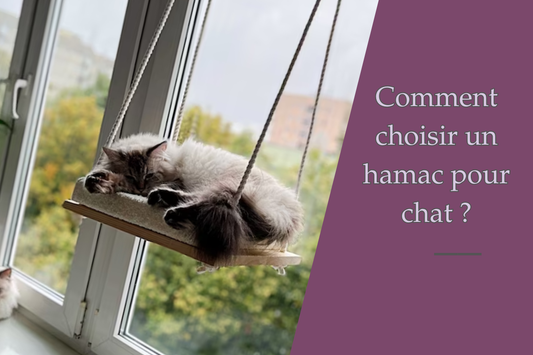 Comment Choisir un hamac pour chat ?