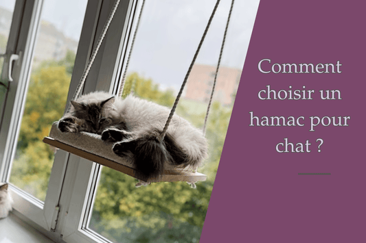 Comment Choisir un hamac pour chat ? - Ambiance chat