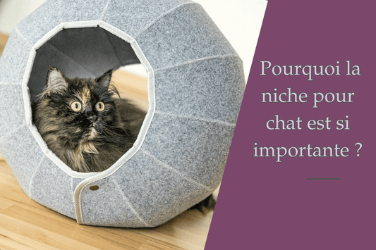 Pourquoi une niche pour chat est si importante ? - Ambiance chat