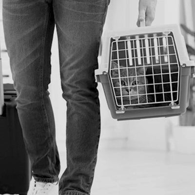 Sac de Transport Pour Chat