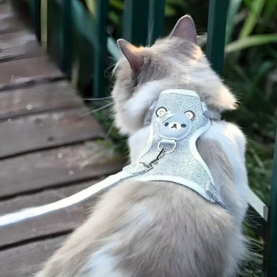 Harnais Pour Chat - Ambiance chat