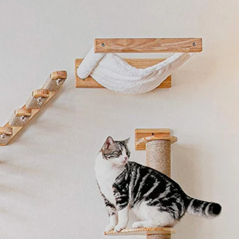 Jouet pour chat | FunWall™