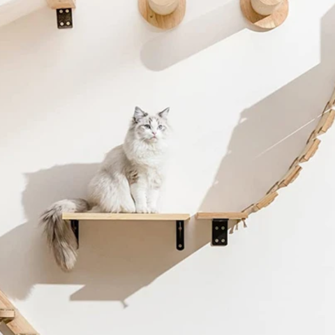 Jouet pour chat | FunWall™