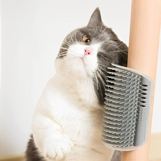 Brosse pour chat | Picksy™