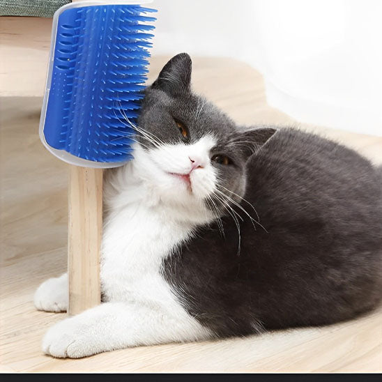 Brosse pour chat | Picksy™