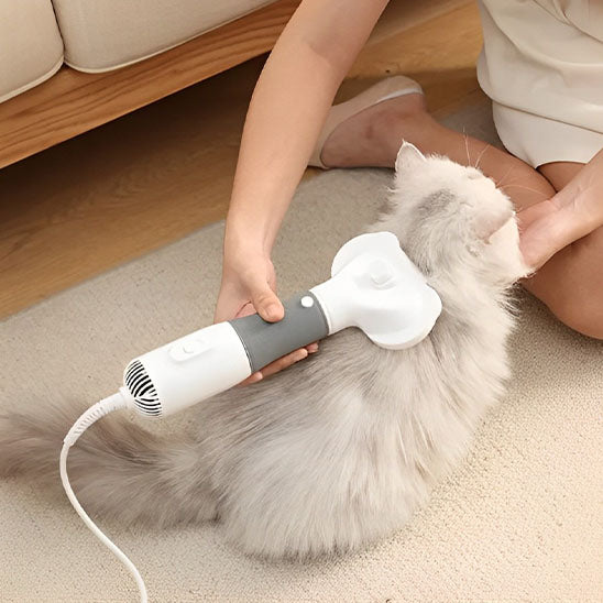 Brosse pour chat | Brusshy™