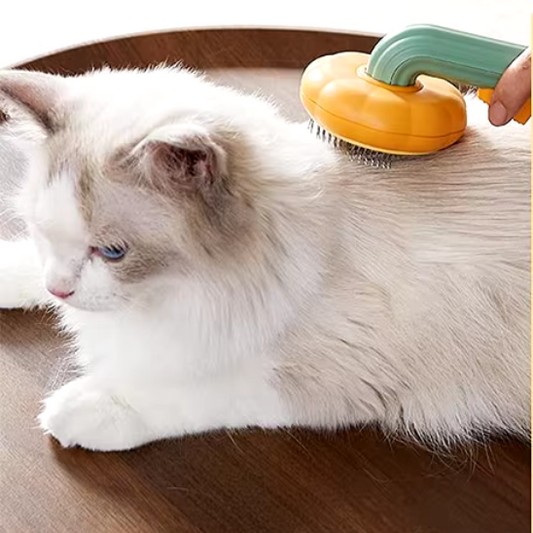 Brosse pour chat | Pumki™