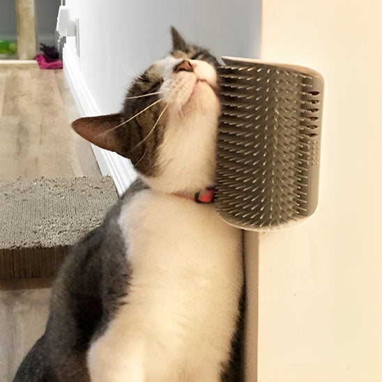 Brosse pour chat | Picksy™