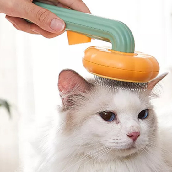 Brosse pour chat | Pumki™