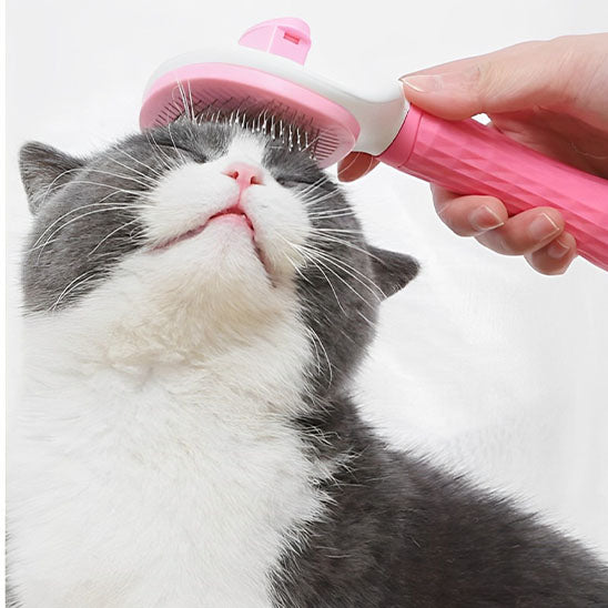 Brosse pour chat | Easyclean™