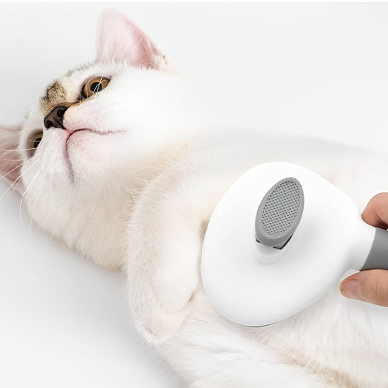 Brosse pour chat | Easyclean™