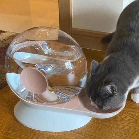 Fontaine a eau chat | WaterSnail™