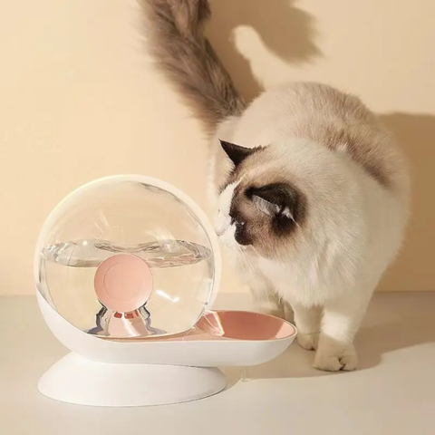 Fontaine a eau chat | WaterSnail™