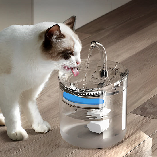 Fontaine a eau chat | Glassy™