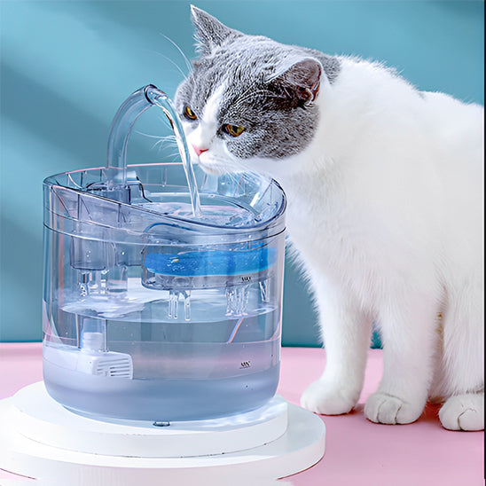 Fontaine a eau chat | Glassy™