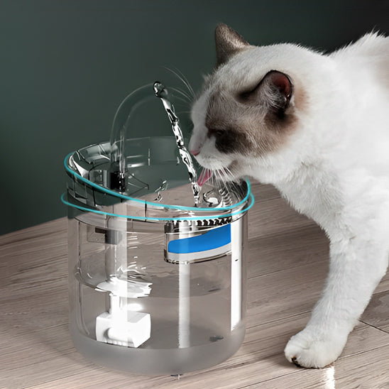 Fontaine a eau chat | Glassy™