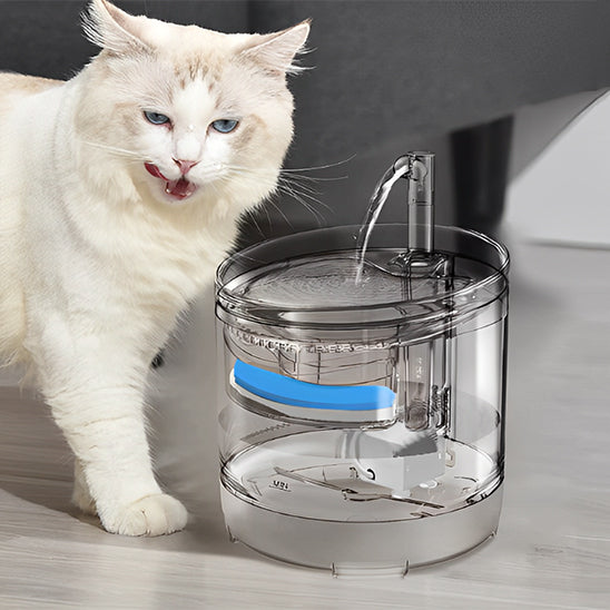 Fontaine a eau chat | Glassy™