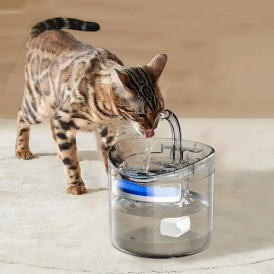 Fontaine a eau chat | Glassy™