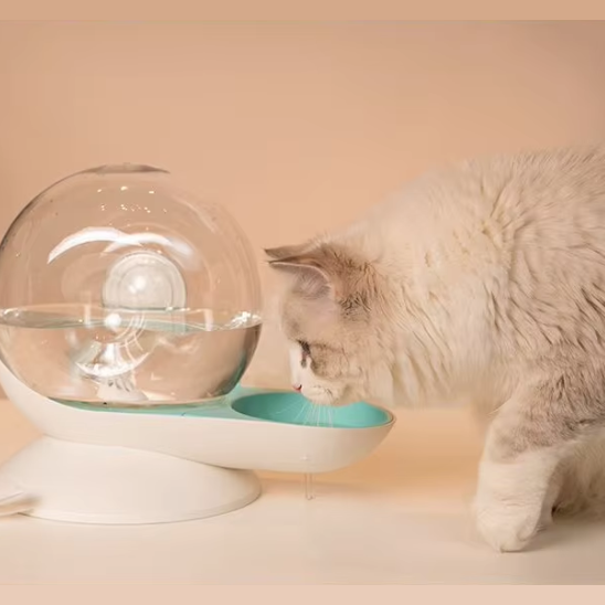 Fontaine a eau chat | WaterSnail™