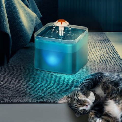 Fontaine a eau chat | Flowy™