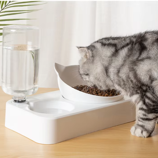 Gamelle anti glouton chat | Comply™