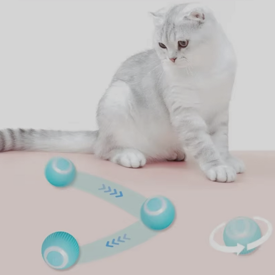 Jouet pour Chat | InterBal™