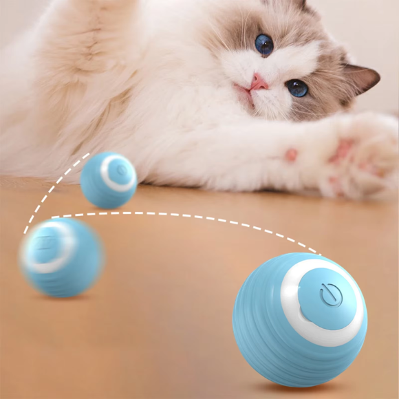 Jouet pour Chat | InterBal™