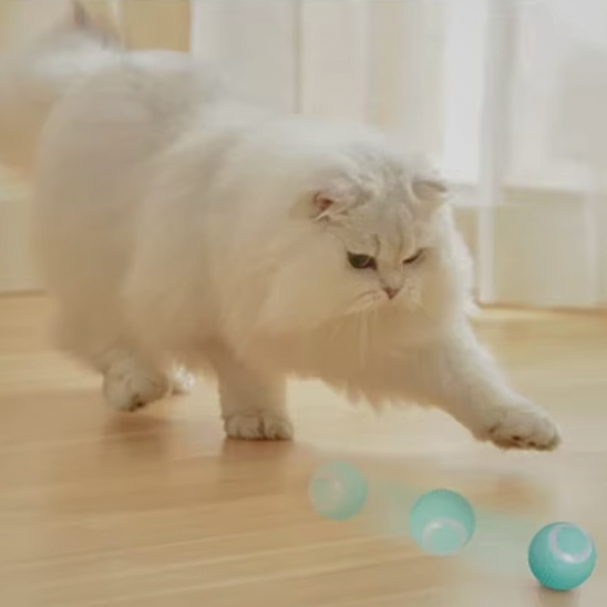 Jouet pour Chat | InterBal™