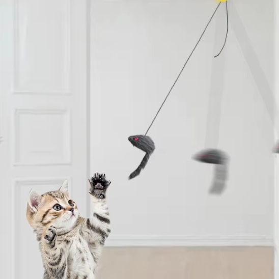 Jouet pour chat | Hunjump™